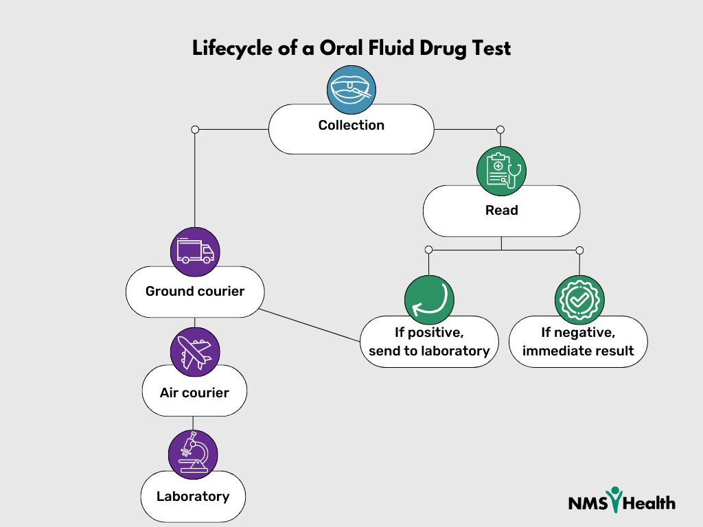 Nms Health Oral Fluid Drug Testing Guide A Swift And Efficient Safety Tool Nms Health