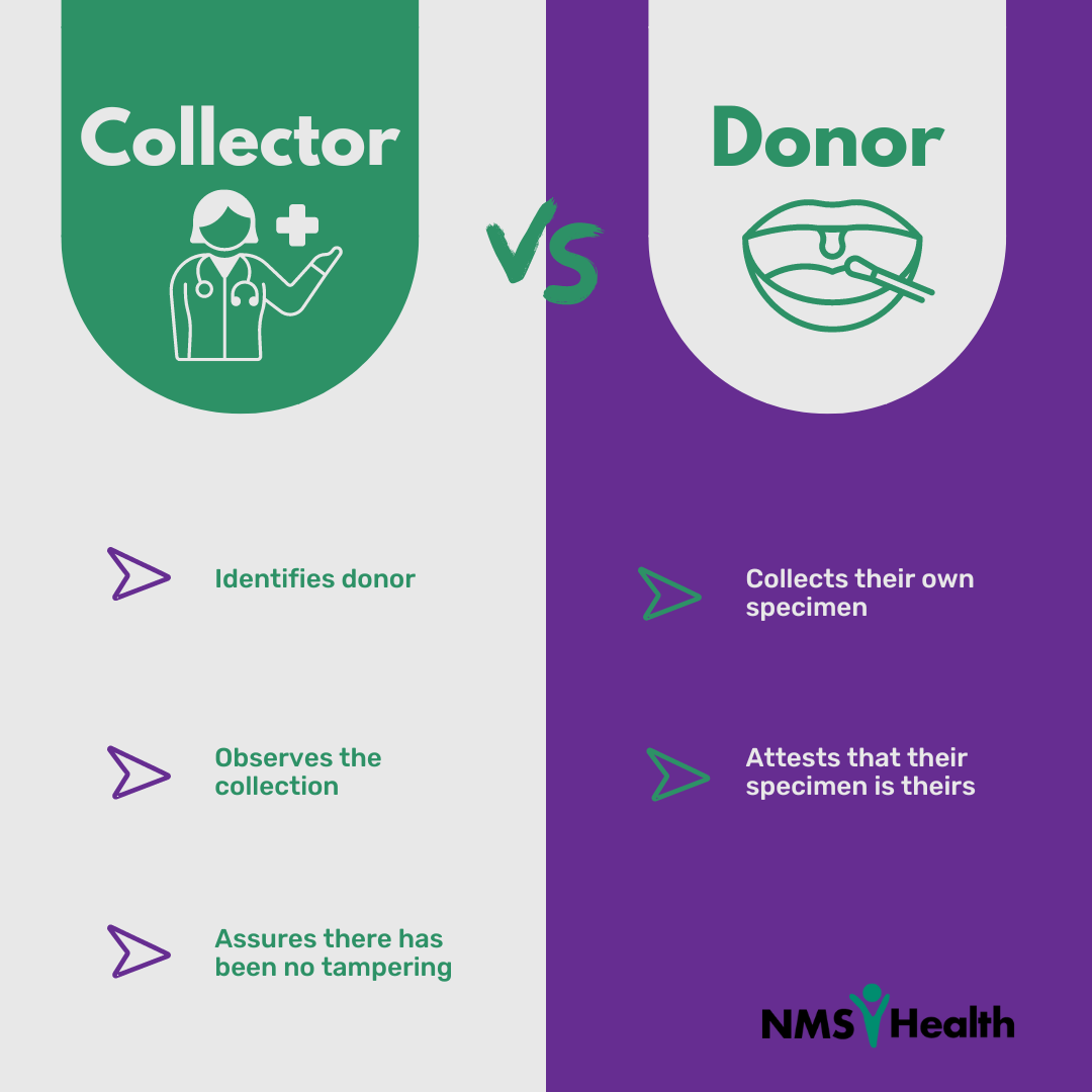 Nms Health Oral Fluid Drug Testing Guide A Swift And Efficient Safety